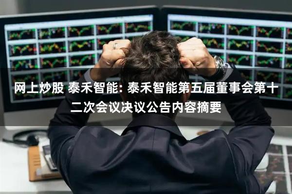 网上炒股 泰禾智能: 泰禾智能第五届董事会第十二次会议决议公告内容摘要